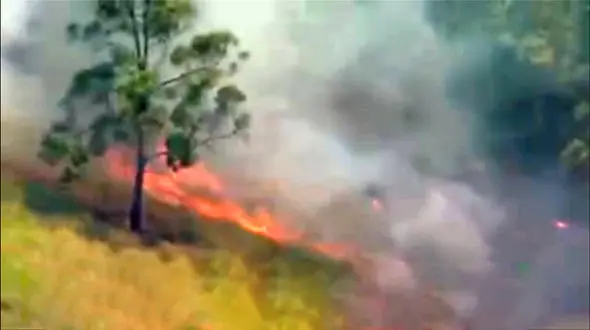 ببینید / تلاش آتش‌نشانان برای مهار ۵۰ آتش سوزی در استرالیا + فیلم