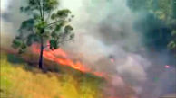 ببینید / تلاش آتش‌نشانان برای مهار ۵۰ آتش سوزی در استرالیا + فیلم