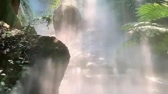 گاهی صبر کردن، بهتر از عمل کردن است