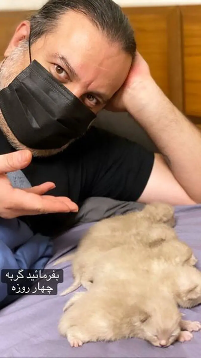 توله مهراب قاسم خانی