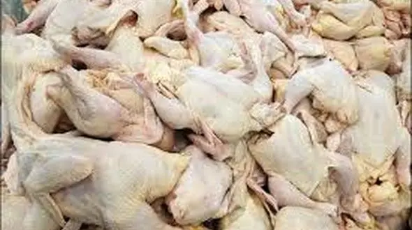 قیمت جدید مرغ در بازار