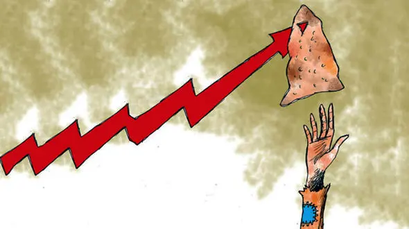 افزایش قیمت نان خنده دار است! / هشدار نماینده مجلس به وزیر جهاد کشاورزی