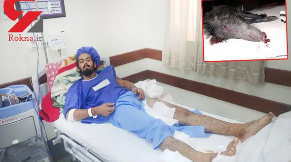 نبرد هولناک شکارچی آبادانی با گراز وحشی در نخلستان+عکس