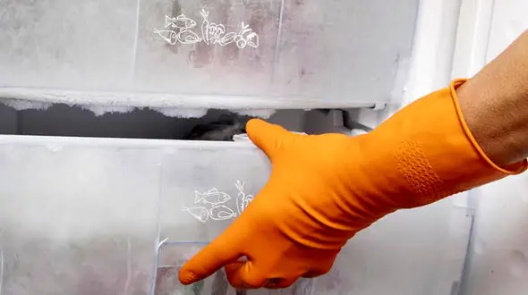 جسد تکه تکه شده یک زن در فریزر! 