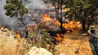 آتش سوزی کوه توبش غربی در استهبان 