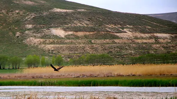 تامین اعتبارات لازم برای ساماندهی مسیرتالاب بین المللی قوری گل 