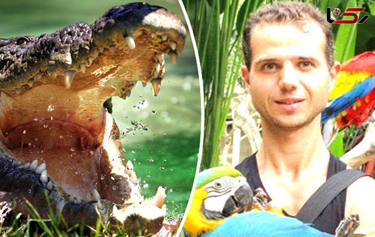 حمله مرگبار تمساح به گردشگر روس در آب های اندونزی