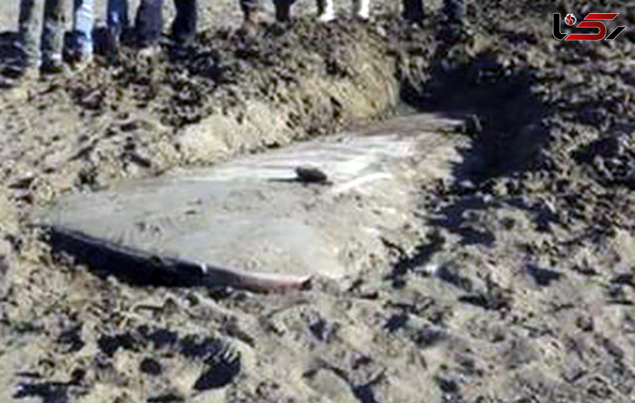 کشف لاشه هواپیما در آرژانتین پس از 50 سال