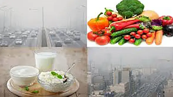 پرهیزهای غذایی در هوای آلوده 