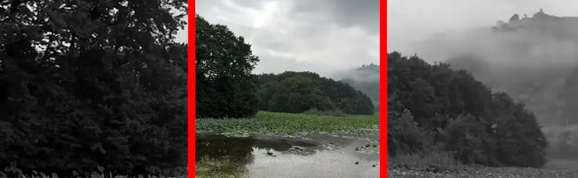 فیلم پاییز دل‌انگیز در تالاب سوستان