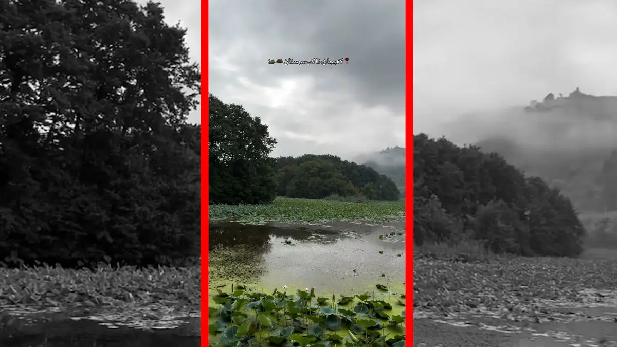 فیلم پاییز دل‌انگیز در تالاب سوستان