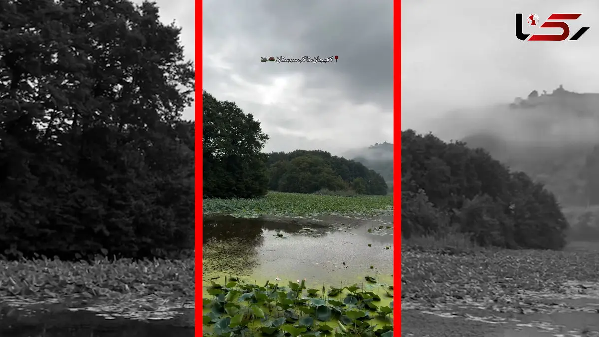 فیلم پاییز دل‌انگیز در تالاب سوستان