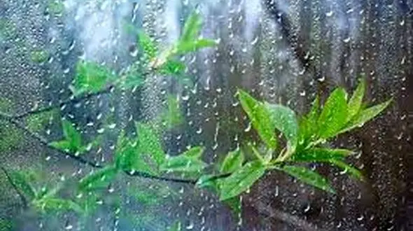 هشدار زرد هواشناسی برای تهران 