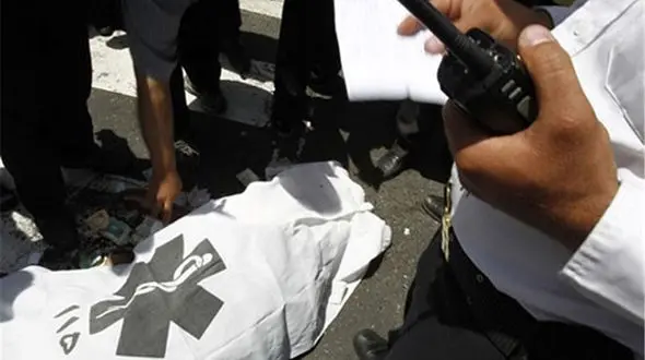 «دزد حرفه ای» هنگام فرار  با شلیک پلیس از پای در آمد