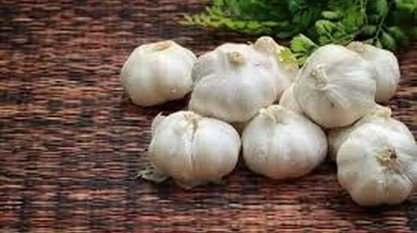 تقویت موی سر با خوردن دو حبه سیر در روز