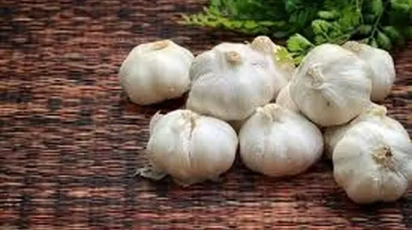 تقویت موی سر با خوردن دو حبه سیر در روز