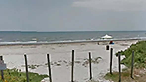 حمله مرگبار کوسه به دختر بچه 5 ساله در ساحل