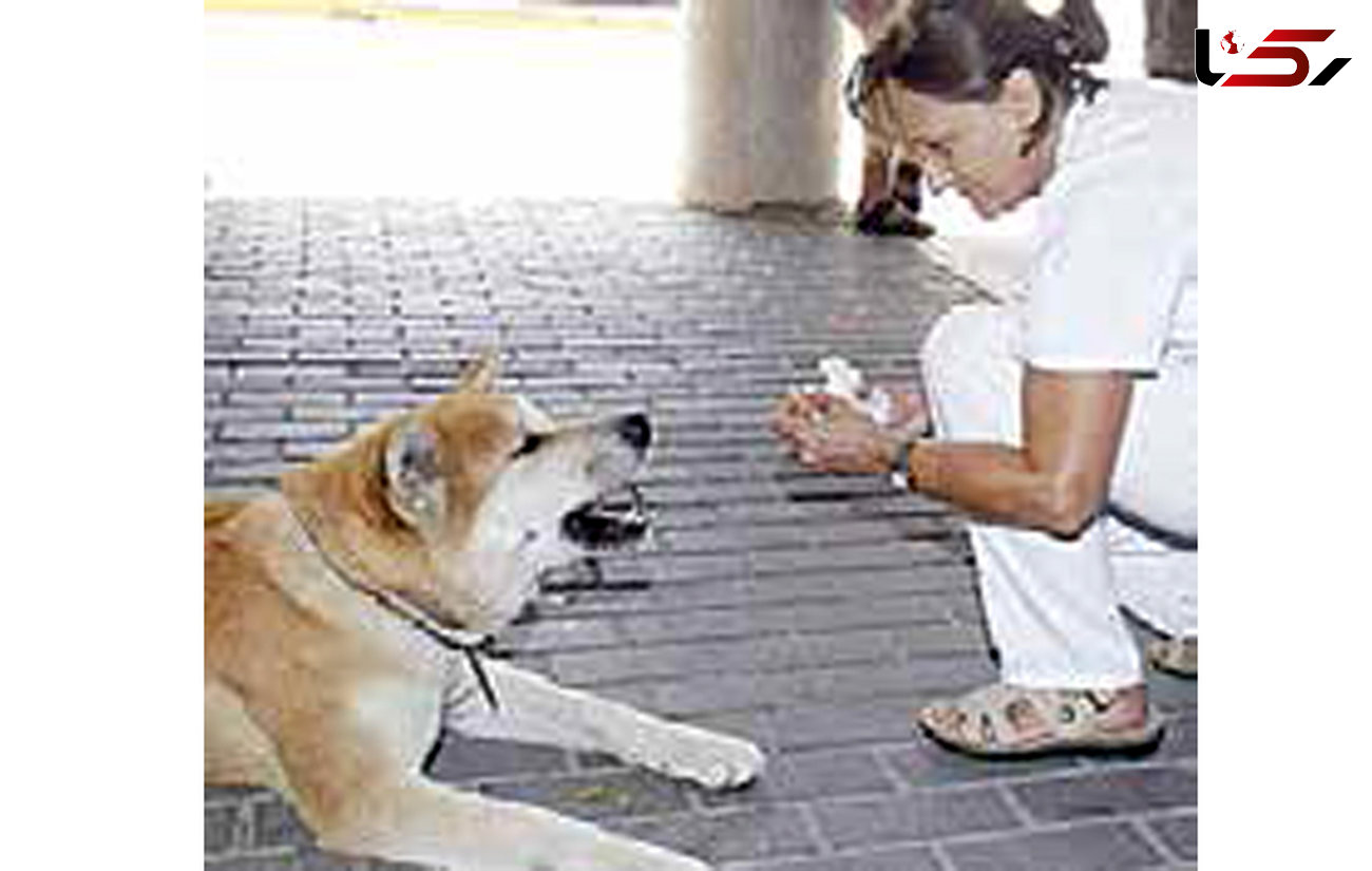 سگ وفادار ستاره رسانه‌ها + عکس