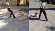 گریه های پسر سگ آزار پس از دستگیری توسط پلیس فتا / سگ زنده و سالم است و تحت حمایت قرار می گیرد+ فیلم و عکس
