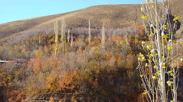 روستای سنگان و زیبایی های آن + عکس