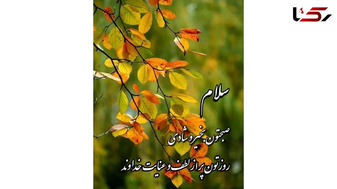 فال و طالع بینی 26 مهر 