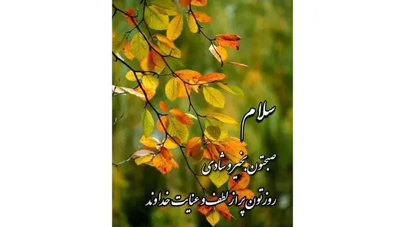 فال و طالع بینی 26 مهر 