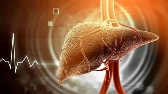 ماءالشعیر بدون الکل و کبد چرب: آیا واقعاً مضر است؟