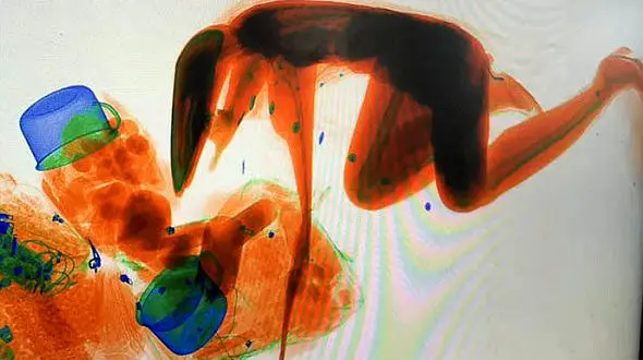 یک زن خودش همراه کیف دستی وارد دستگاه اشعه ایکس‌ راه آهن شد!  + فیلم و عکس