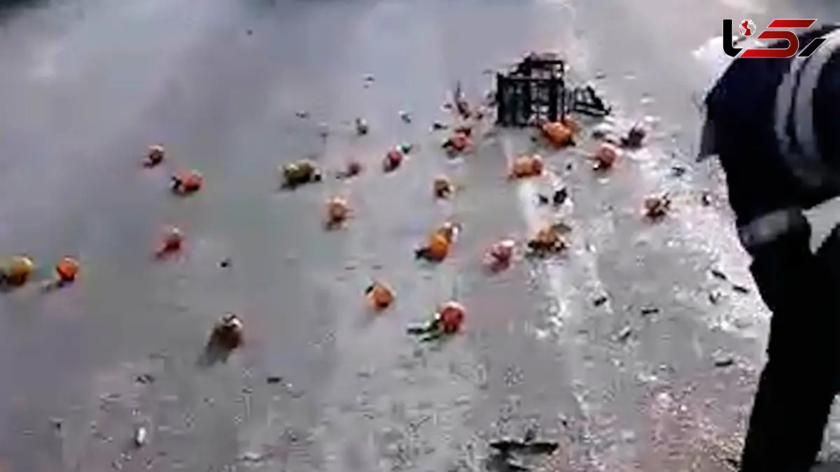 اقدام تحسین‌برانگیز پلیس راهور کرمان در جمع‌آوری میوه‌های پخش‌شده وسط خیابان