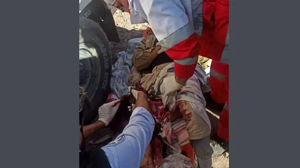 تیراندازی وحشت آور شکارچیان به ماموران محیط بانی در نطنز + جزییات