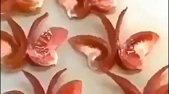 گوجه هایی که پروانه شدند + فیلم 