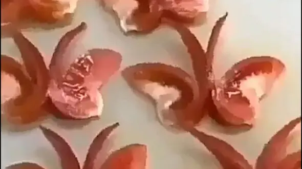 گوجه هایی که پروانه شدند + فیلم 