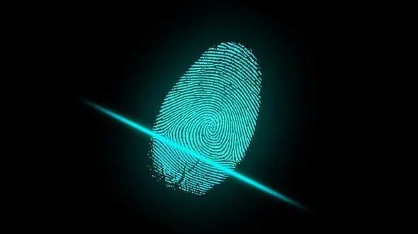 رازهای عجیبی که در اثر انگشت نهفته است