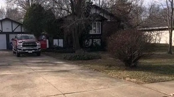 خانه ای که لانه صدها مار بود! / زن و شوهر شوکه شدند + فیلم / امریکا