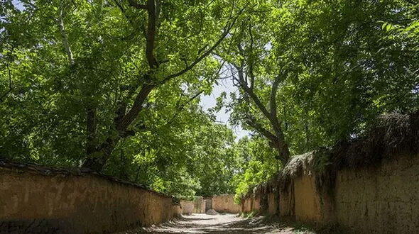 حتی جنگ هم نتوانست تغییر کاربری باغات شیراز را متوقف کند !