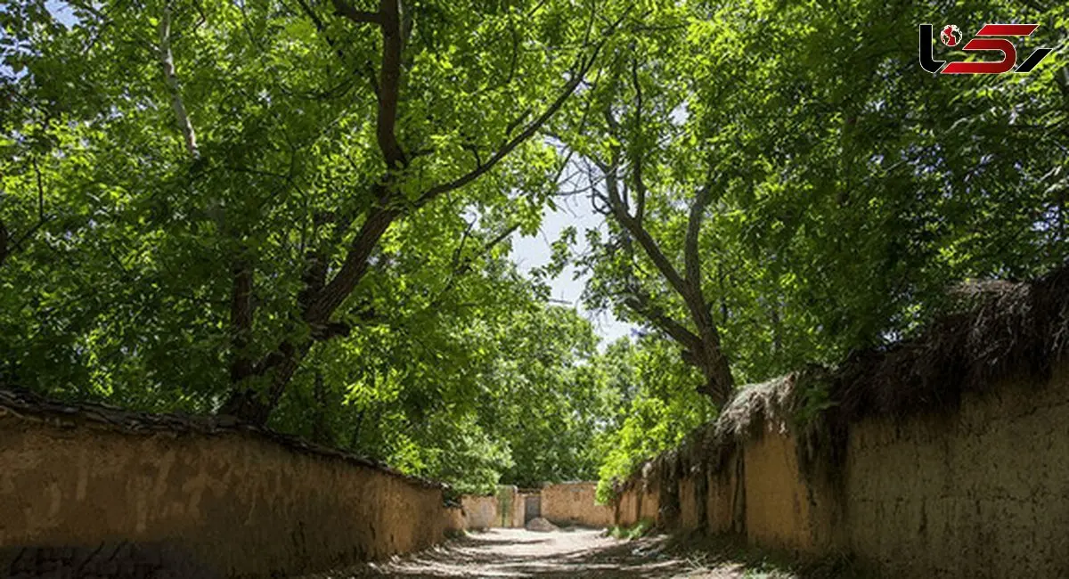 حتی جنگ هم نتوانست تغییر کاربری باغات شیراز را متوقف کند !