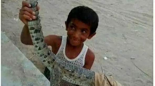 زکریا بشیره دوست کوچک گاندوهای چابهار درگذشت +عکس