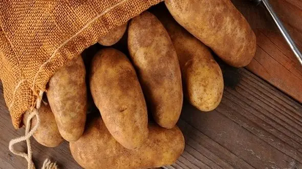 سیب زمینی گران می شود