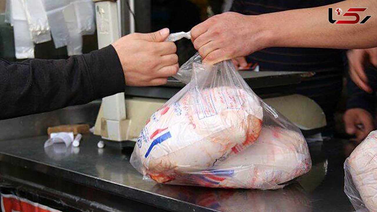 توزیع مرغ  ۱۸ هزار و ۵۰۰ تومانی در تهران به زودی