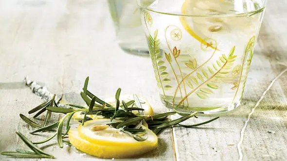 دفع حشرات با عطر دم کرده رزماری