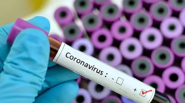 قلیان کش ها مراقب کرونا باشند!