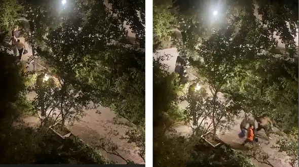 بازداشت 13 مرد مست به خاطر قتل در پارک اناران تهران