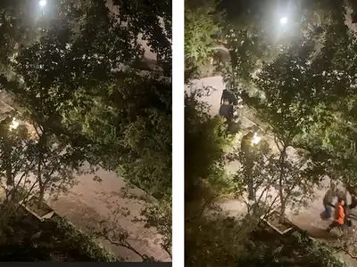 بازداشت 13 مرد مست به خاطر قتل در پارک اناران تهران