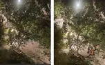 بازداشت 13 مرد مست به خاطر قتل در پارک اناران تهران