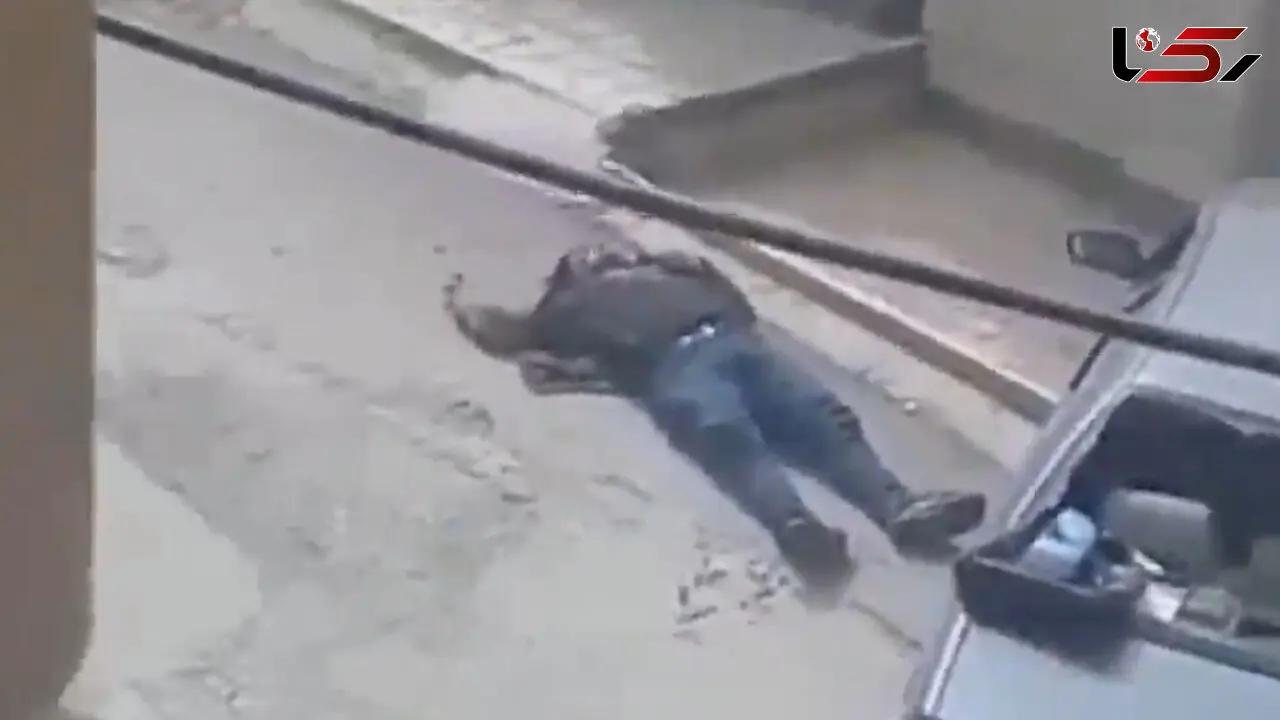 لحظه کشتن داماد کرمانشاهی توسط برادر زن