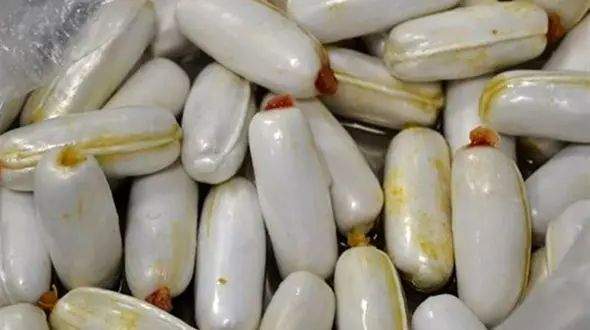 بازداشت قاچاقچی موادر مخدر در اصفهان / نیم کیلو تریاک را بلعیده بود