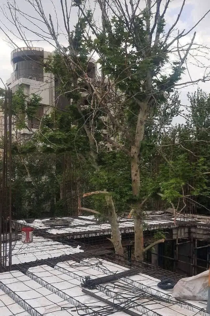 احداث سرای محله باغ فردوس