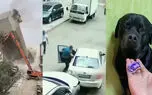  از حرکت ناشیانه راننده زن هنگام پارک خودرو تا آشپزی ناشیانه تر مرد جوان + فیلم 