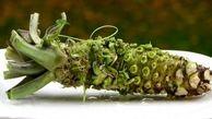 راهی برای نبرد با آلزایمر/ افزایش 18 درصدی حافظه با خوردن این گیاه ژاپنی