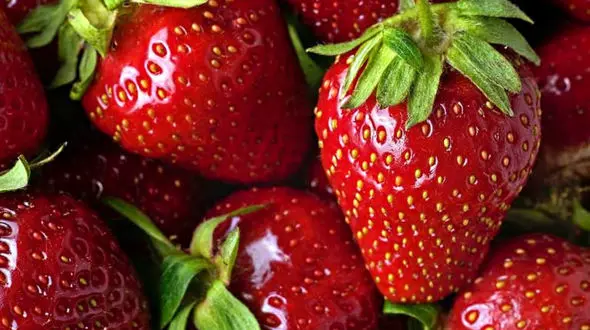 9 خوراکی شما را شاد می کند!